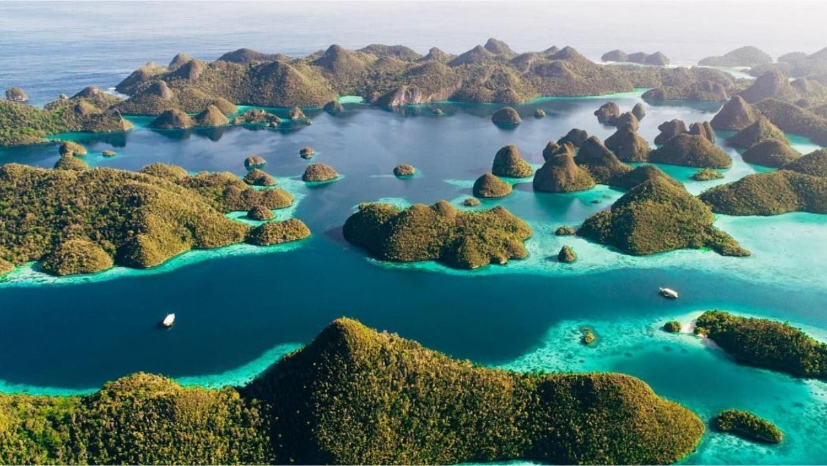 wisata raja ampat - wilimas panen tour